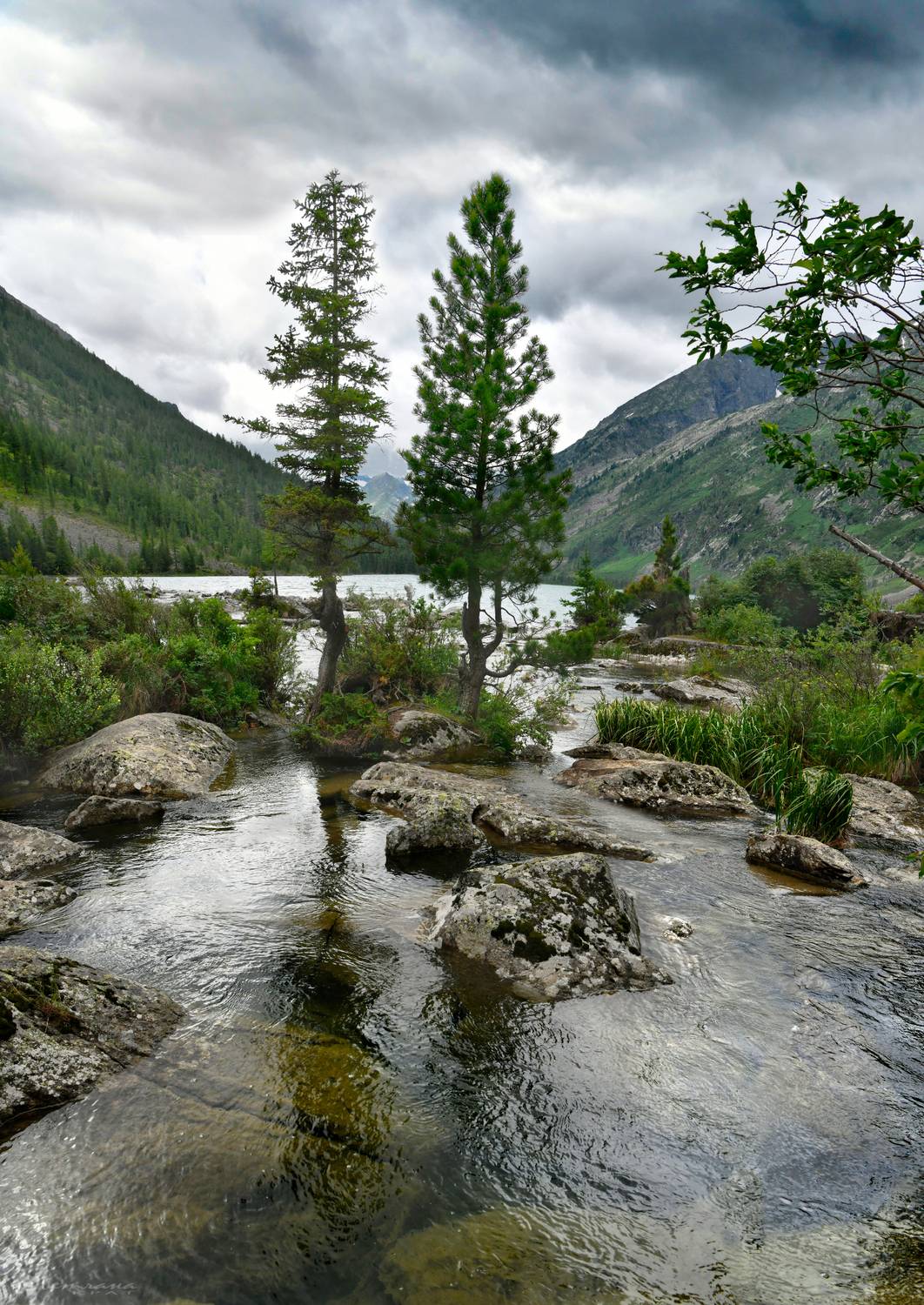 , Крат Светлана