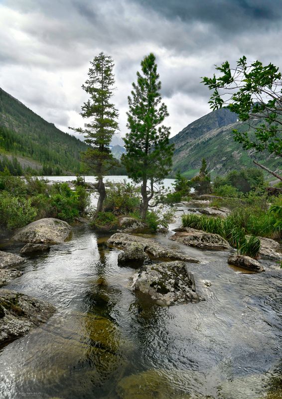 Летний Алтай фото превью