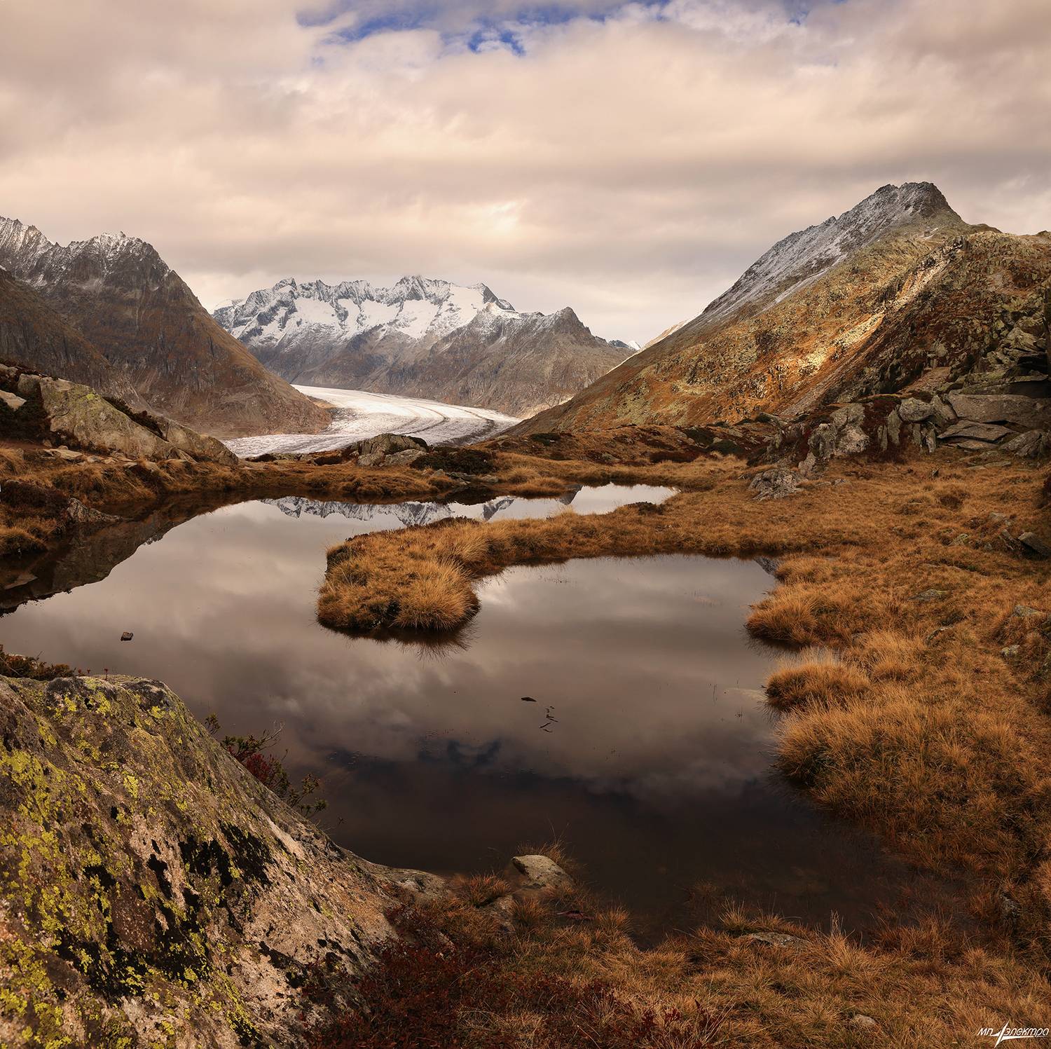 swiss, Матвеев Николай
