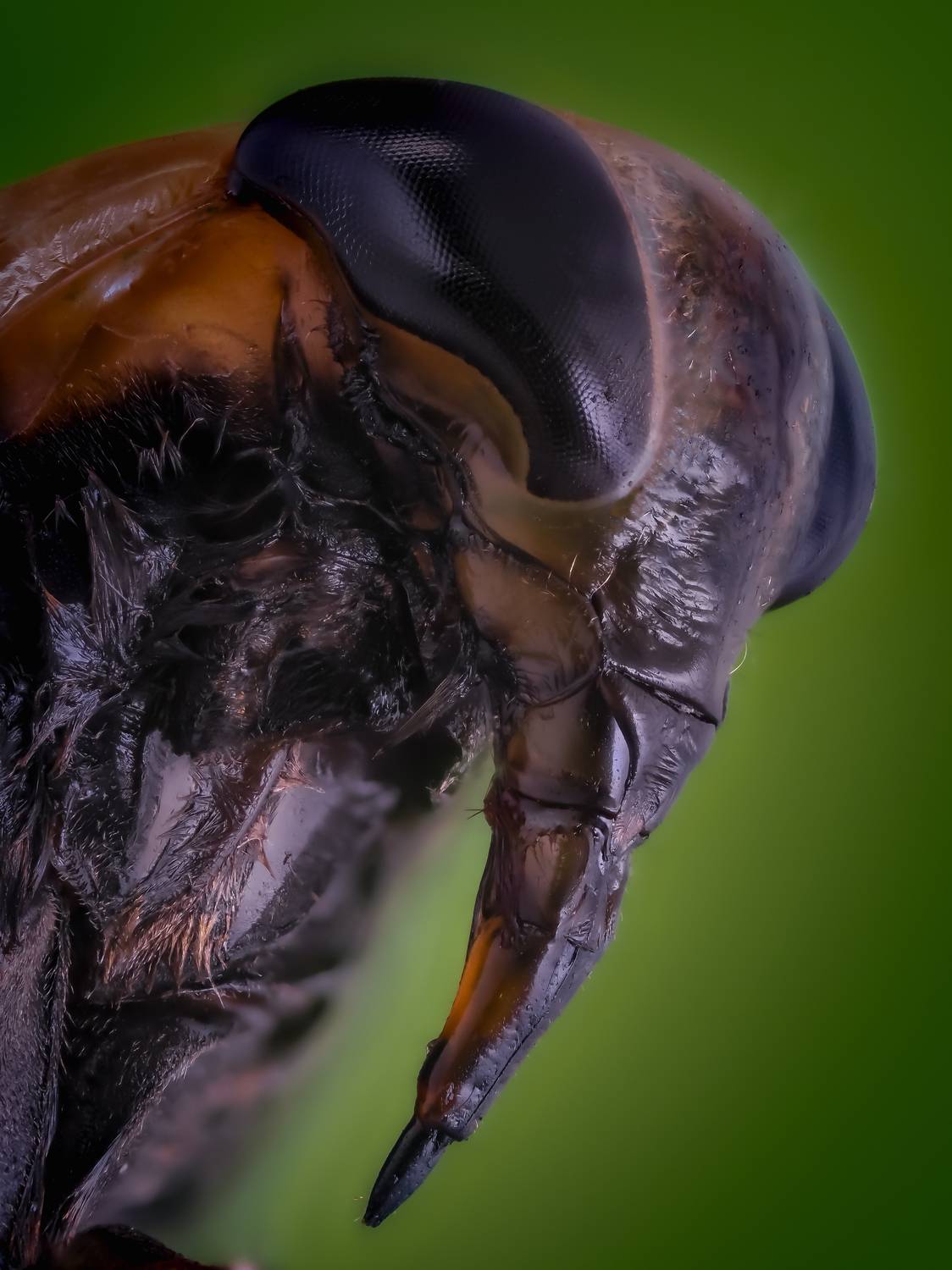 , Олег Савицкий