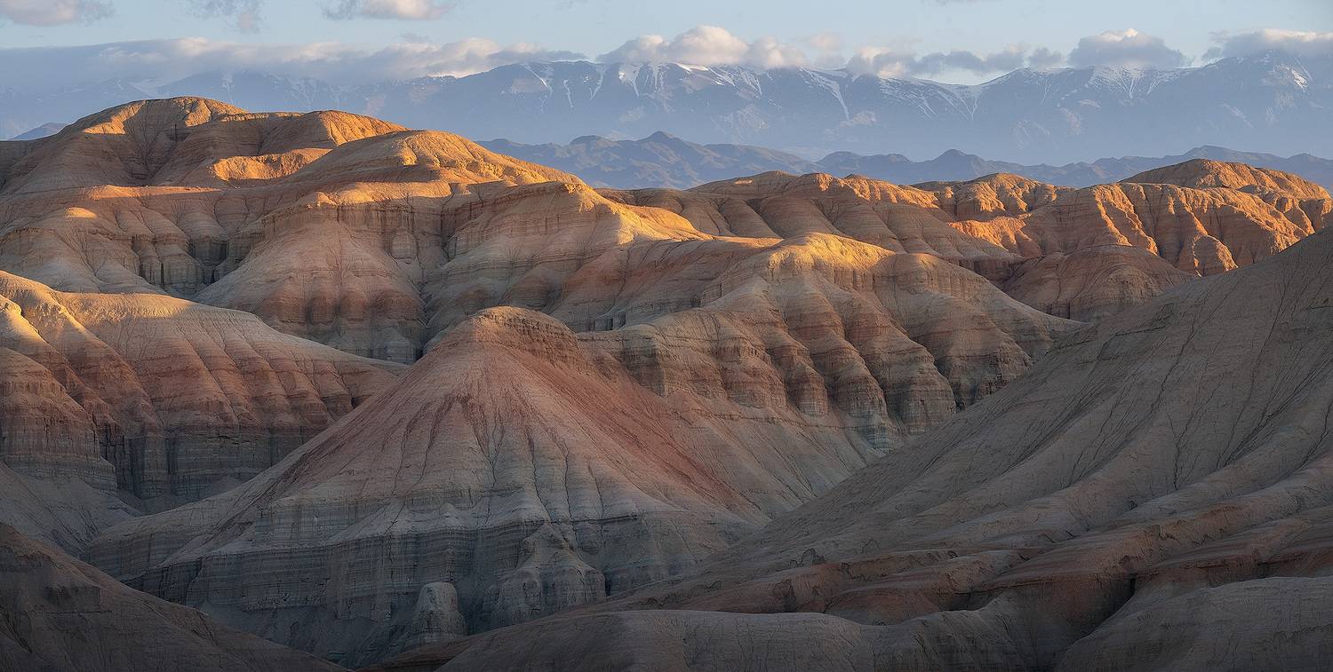 , Андрей Родионов