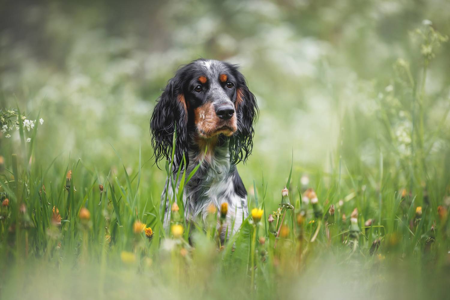 , Яна Нарбутович