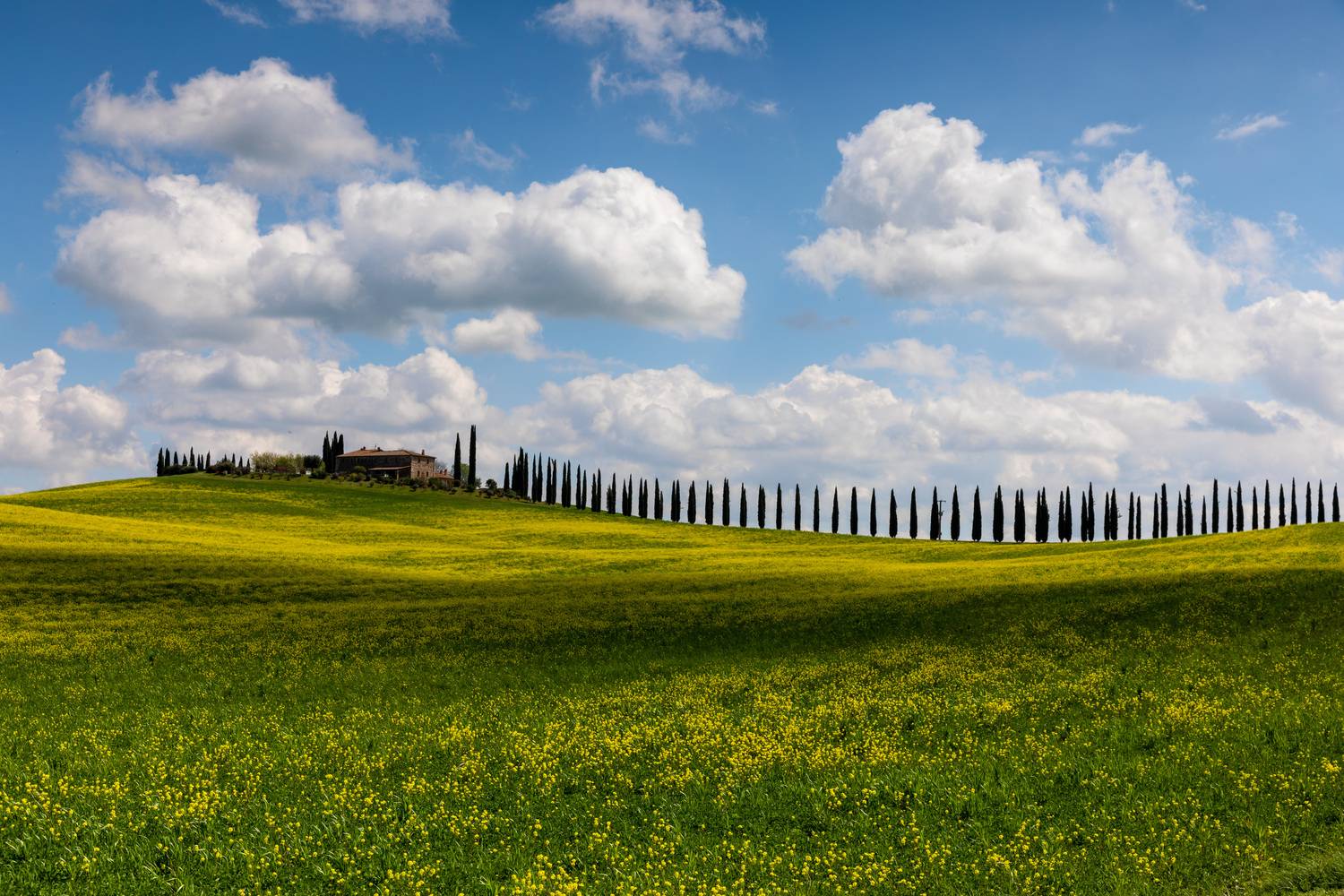 , Евгения Чех