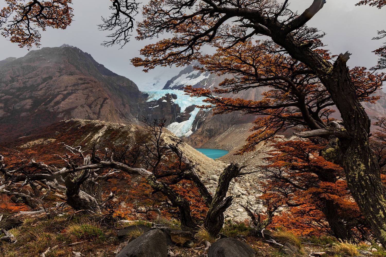 аргентина, патагония, argentina, patagonia, glacier, ледник, Mikhail Konarev