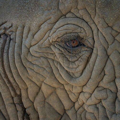 Up close with Africa