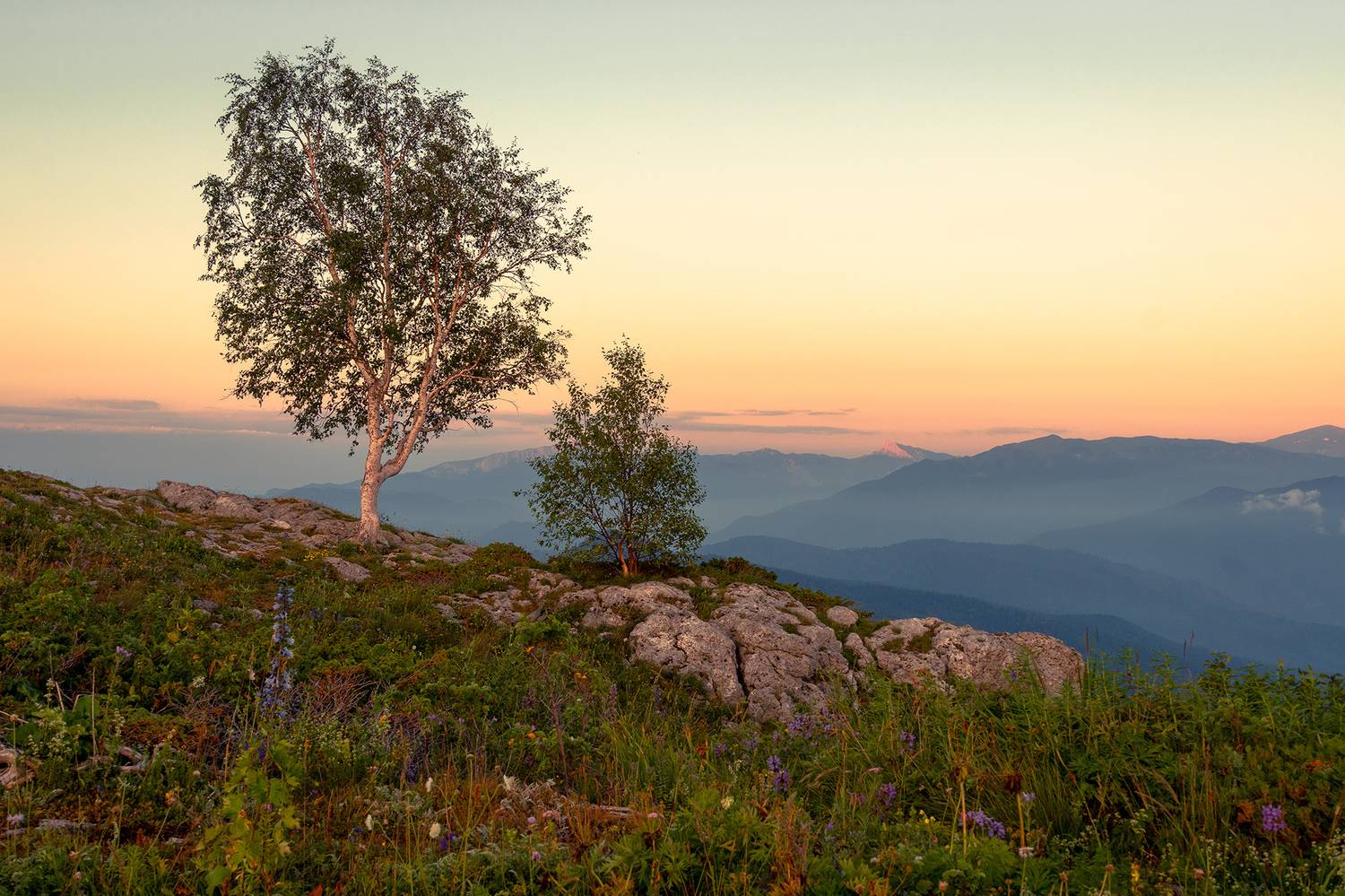 , Вадим Коваленко