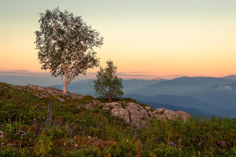 Друзья фото превью