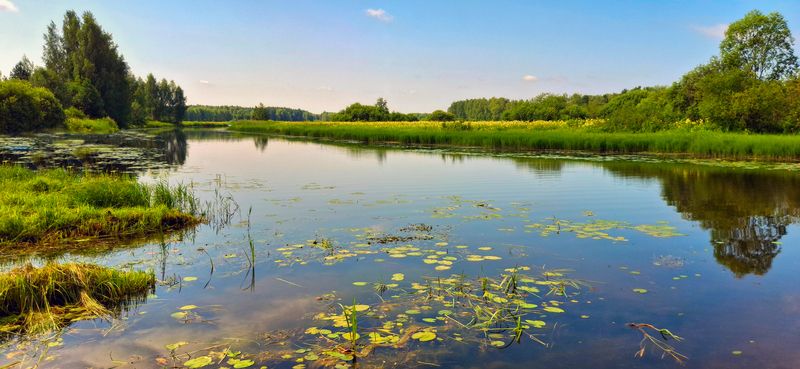 Костромской край: на воде. фото превью