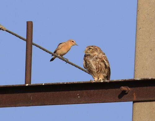 Деловая беседа..