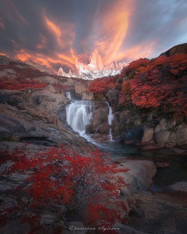 Огненный Фитцрой фото превью