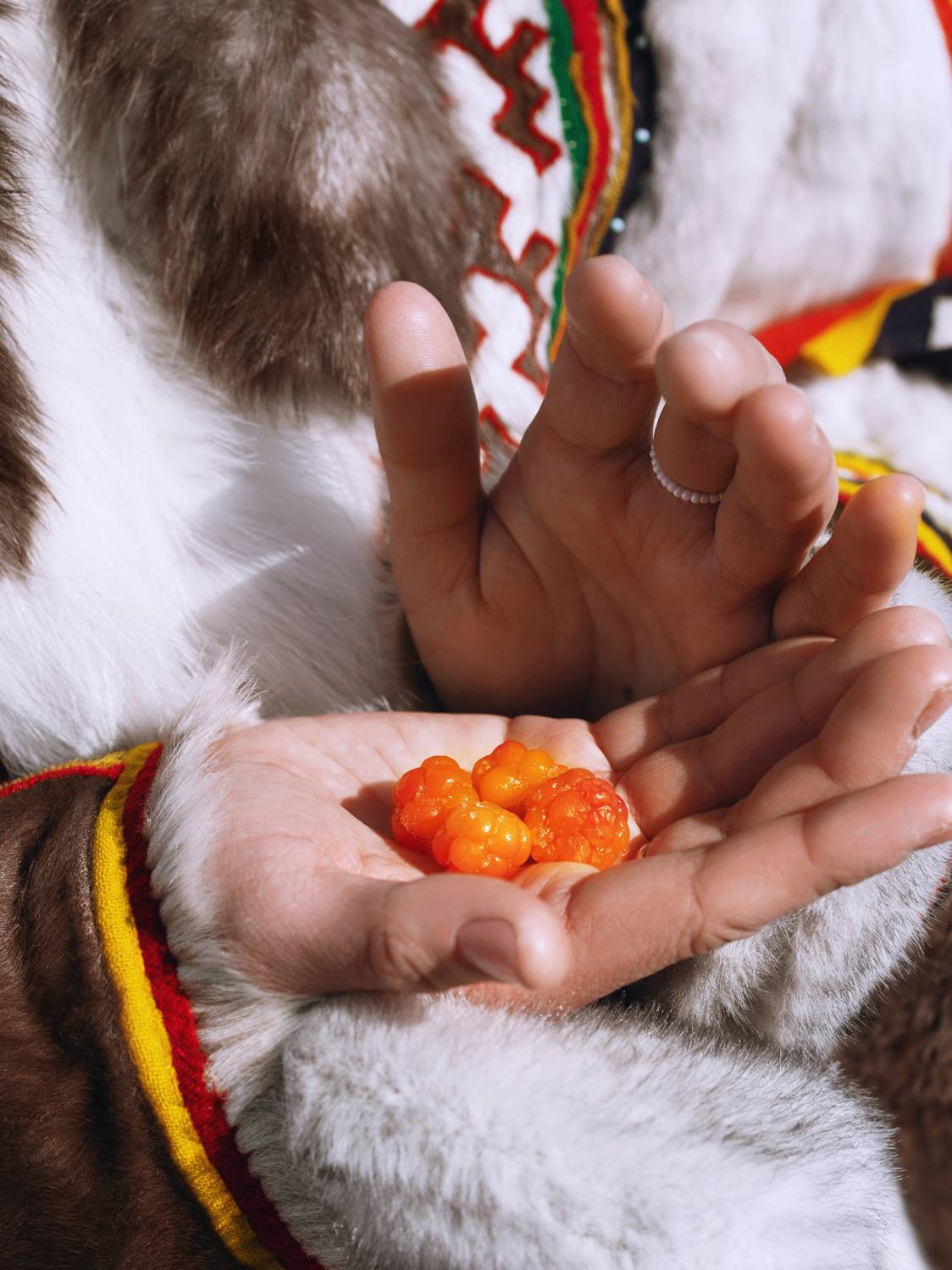 , Наташа Янкелевич