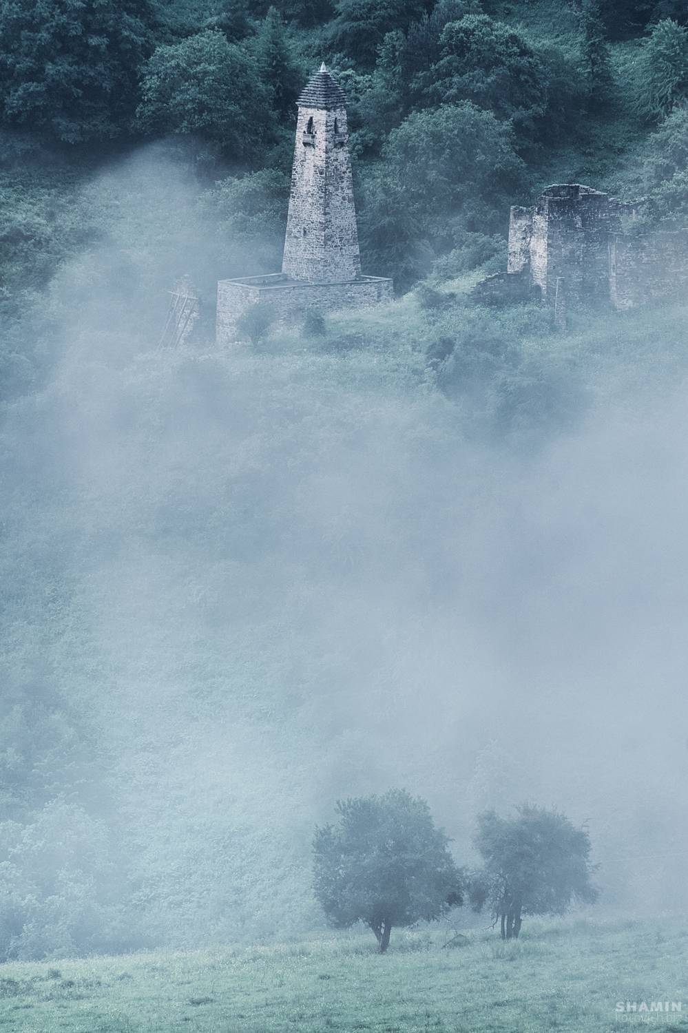 , Константин Шамин