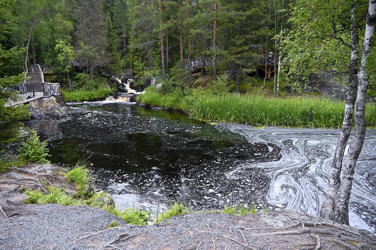 , Марина Никифорова