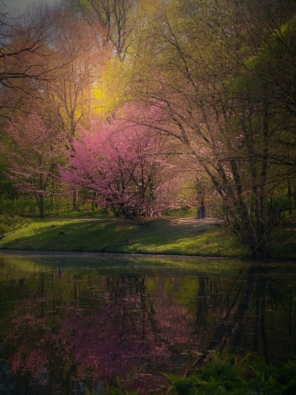 пейзаж, landscape, nature, природа, весна, spring, sunset *** фото превью