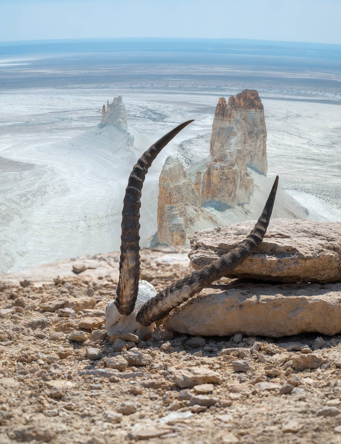 скала Кораблик, Мангистау, Бозжыра, Светлана Шишкова