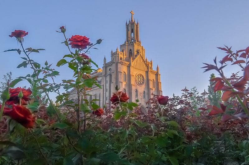 фото превью