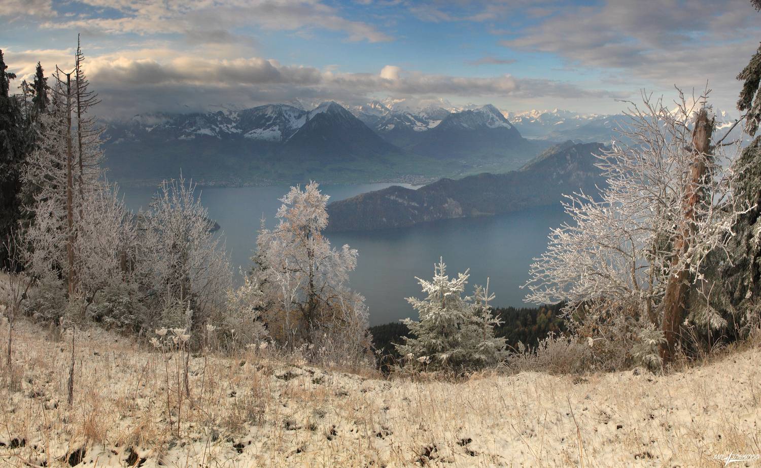 swiss, Матвеев Николай