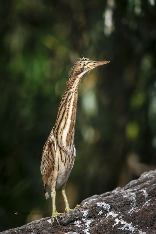Молодёжь. фото превью