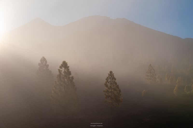 горы, рассвет, лучи, туман, вулкан, тейде, тенерифе, канары, испания, пейзаж Рассвет в кальдере фото превью