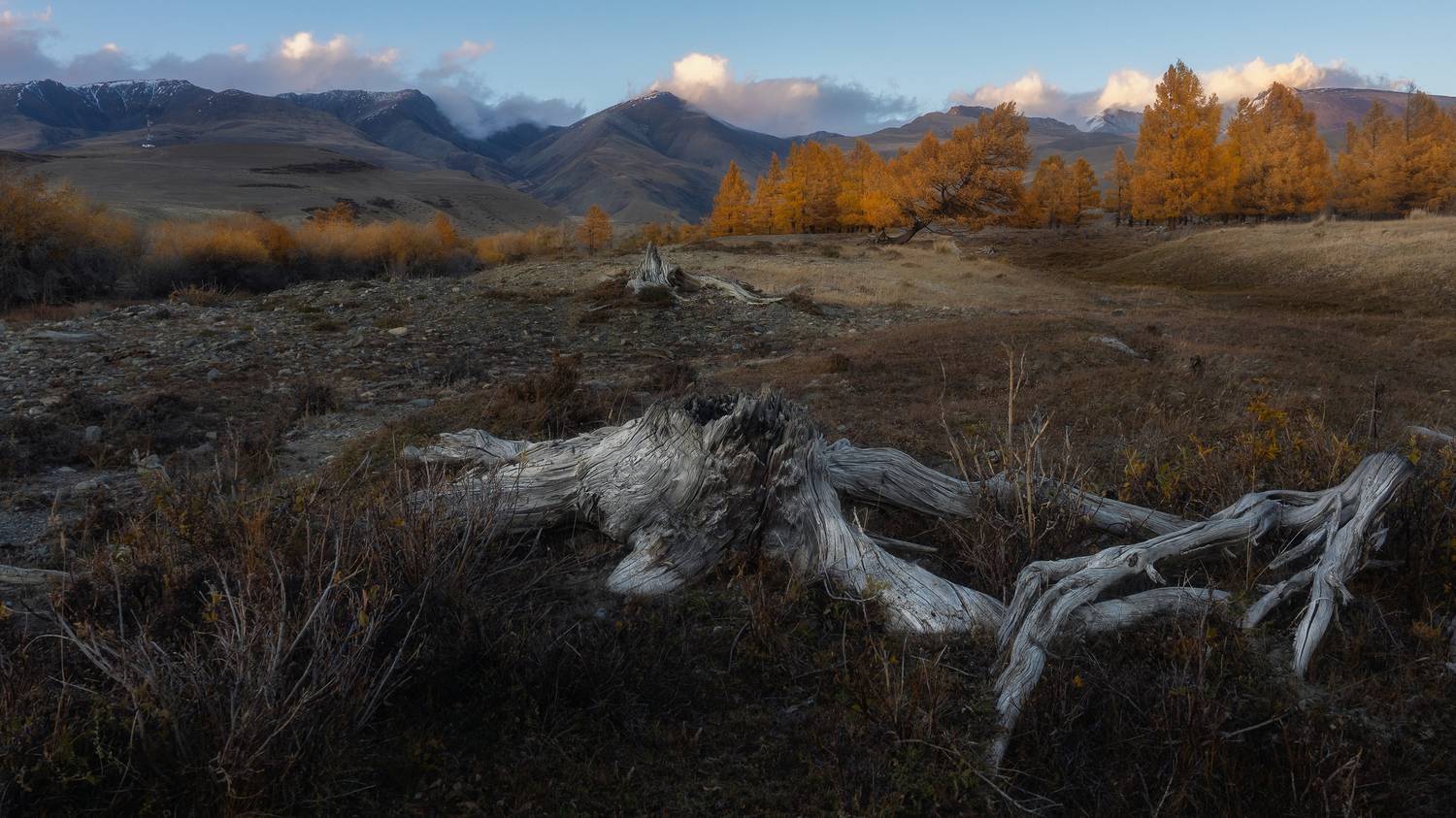 , Мозжухин Максим