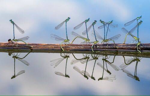 Отделились