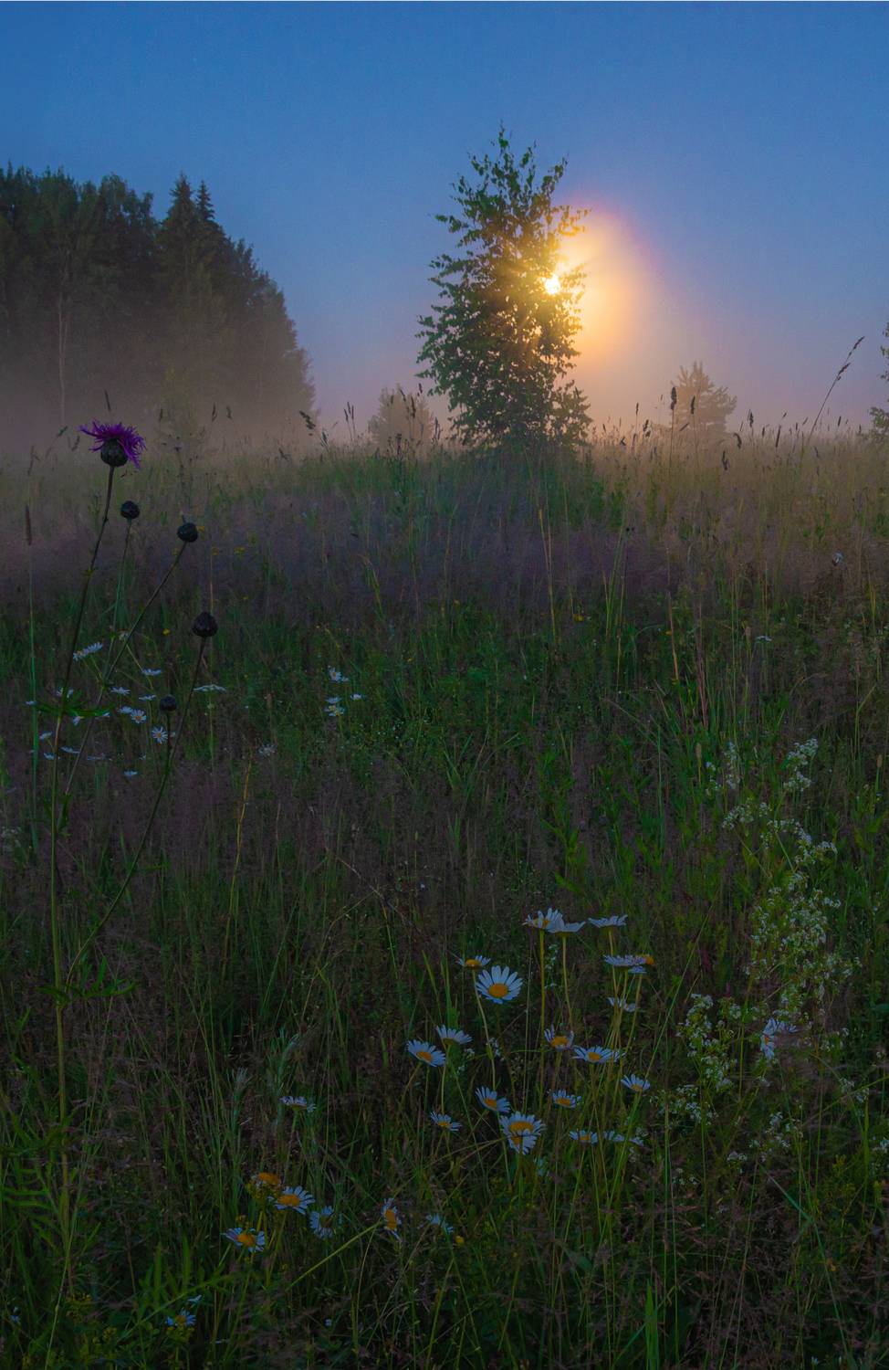 , Кокорин Алексей