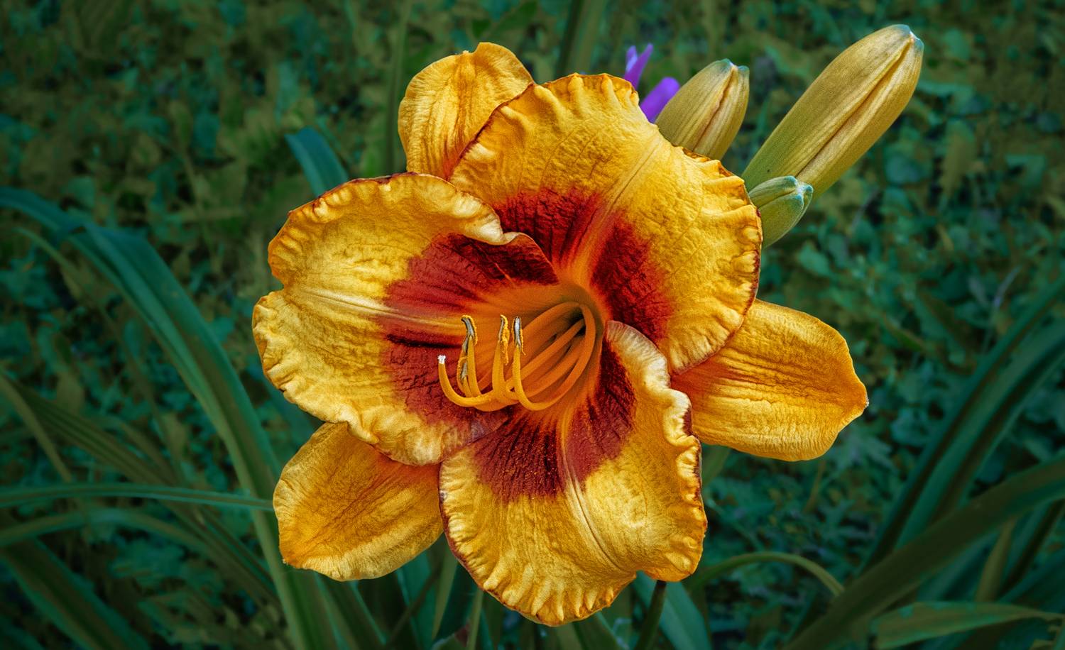 , Ушаков Валерий