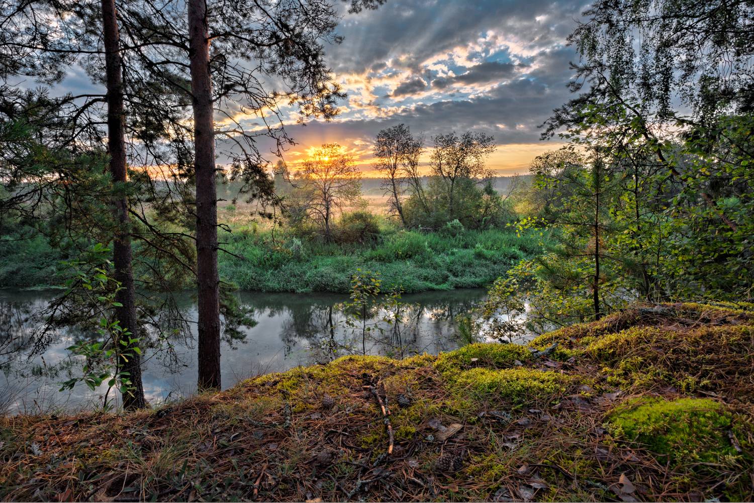 , Евгений Ерохин