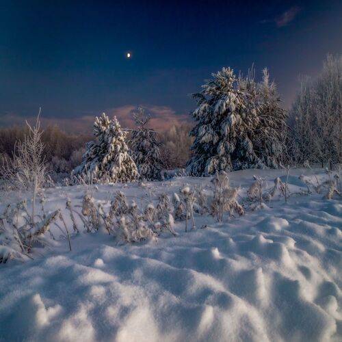 Зимняя ночь