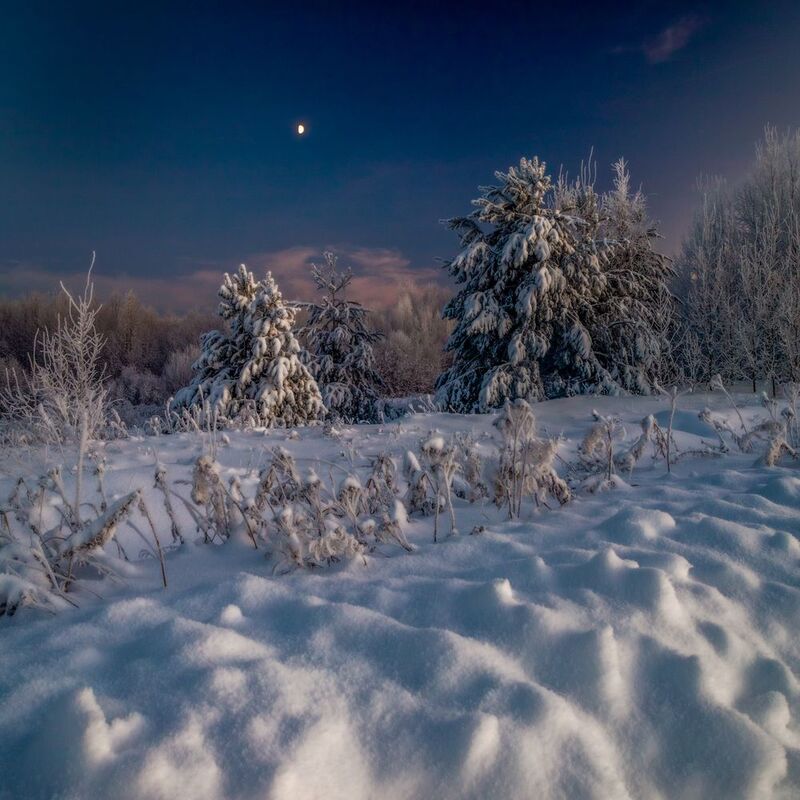 ночь, луна, зима, холод, Вятка, Киров, холодно, снег, небо, лес, ветки, поле, темно Зимняя ночь фото превью