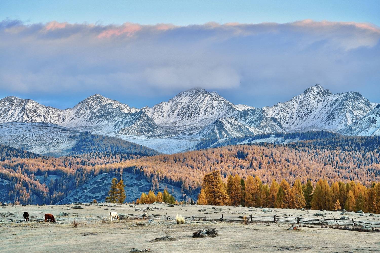 алтай, джазатор, беляши, осень, рассвет, Кузнецов Андрей
