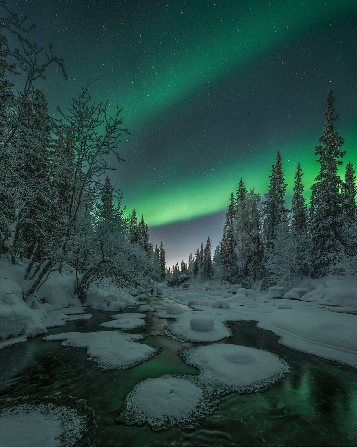 , Бушков Евгений