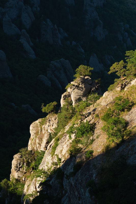 Свет утра фото превью