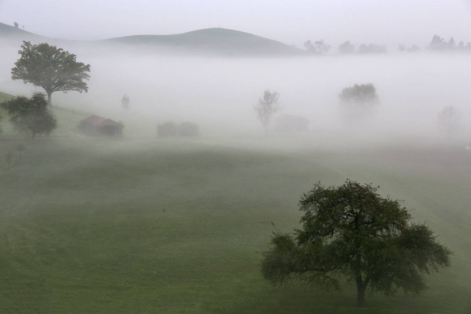 , Галина Хвостенко