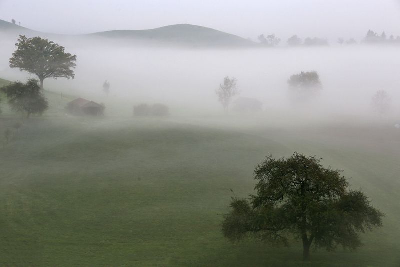 Туманно фото превью