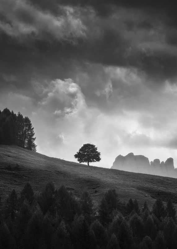 An Istant of Eternity фото превью