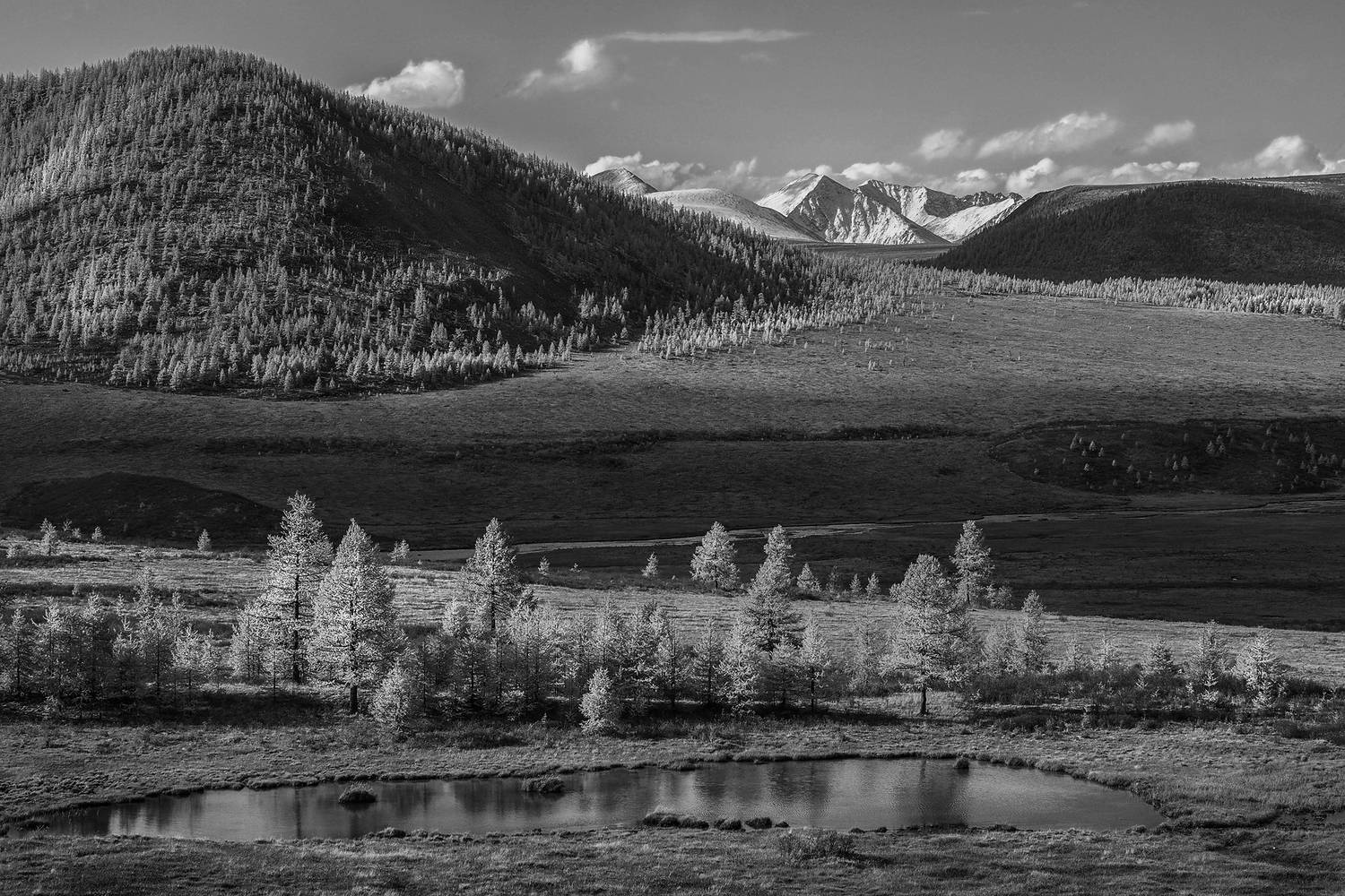 , Александр Попов