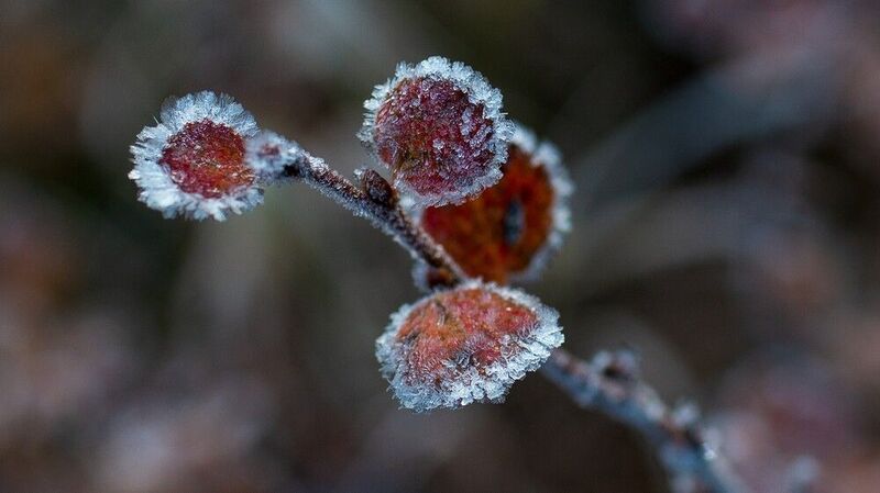 ** * фото превью
