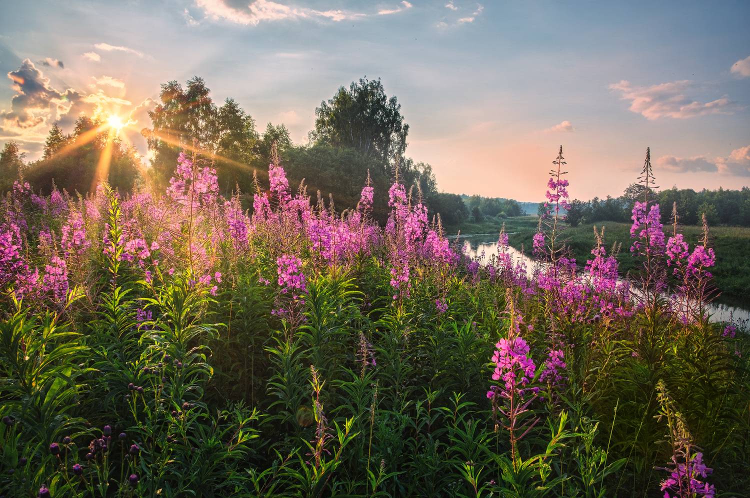 , Евгений Ерохин