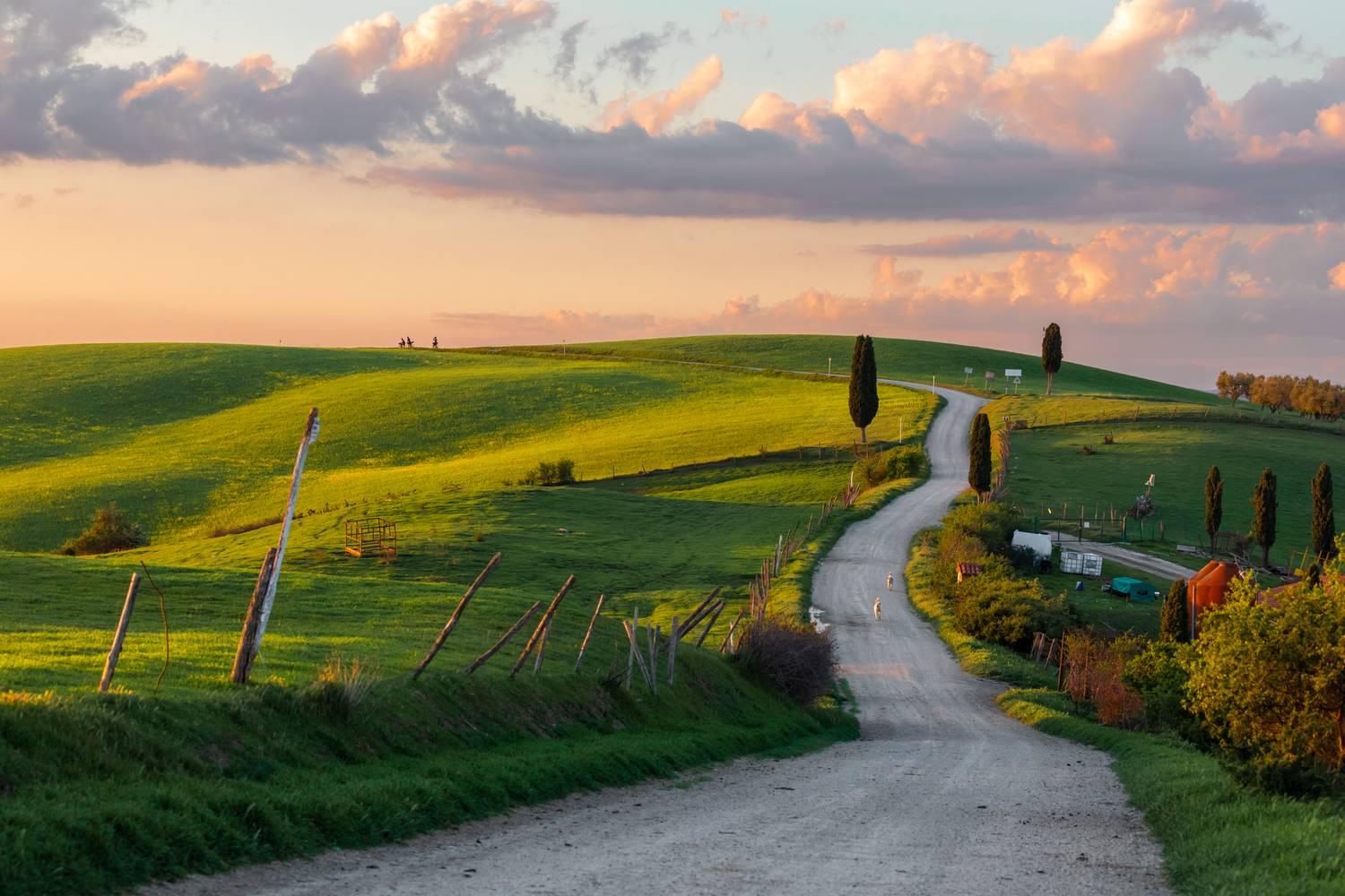 , Евгения Чех