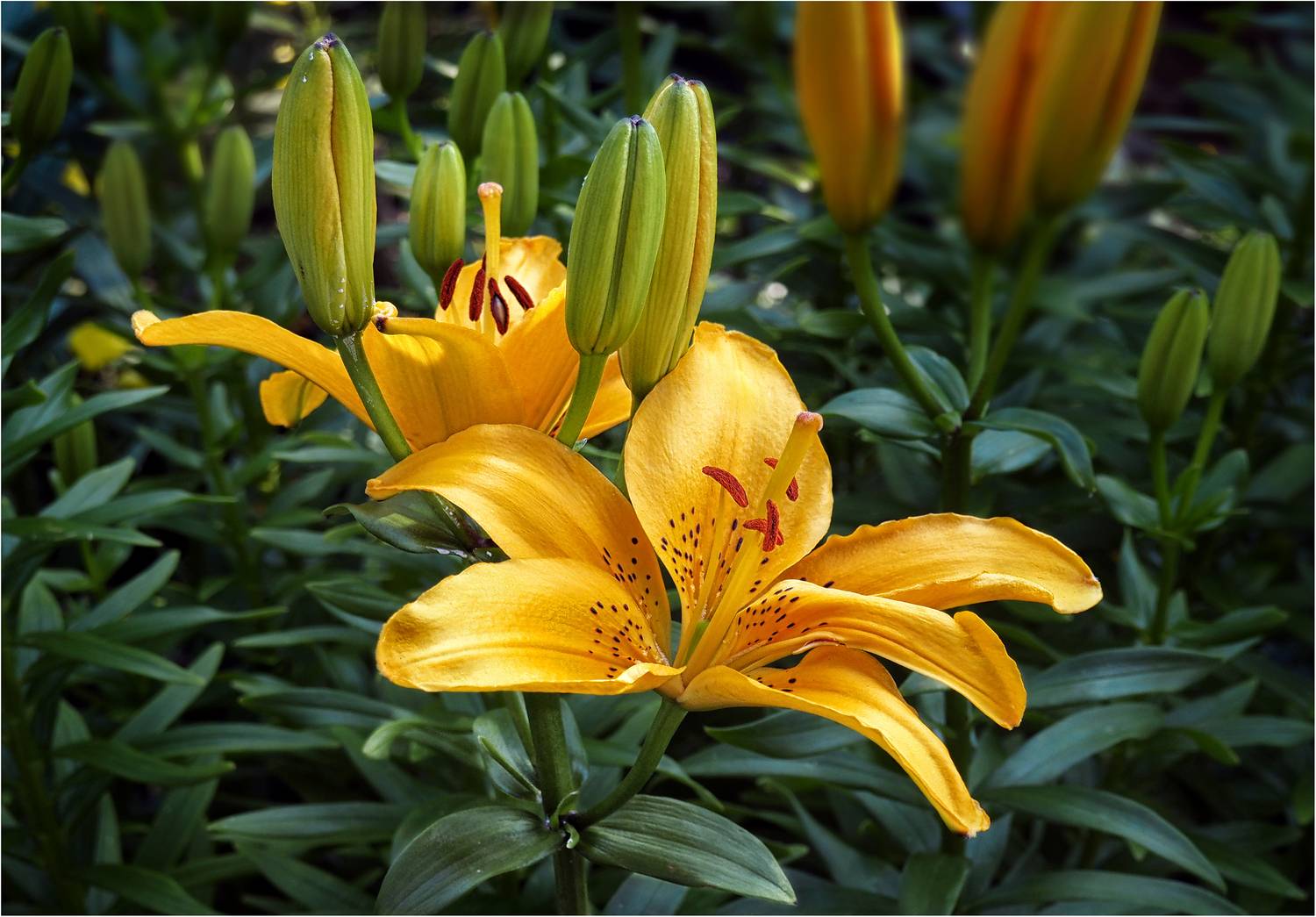 , Ушаков Валерий