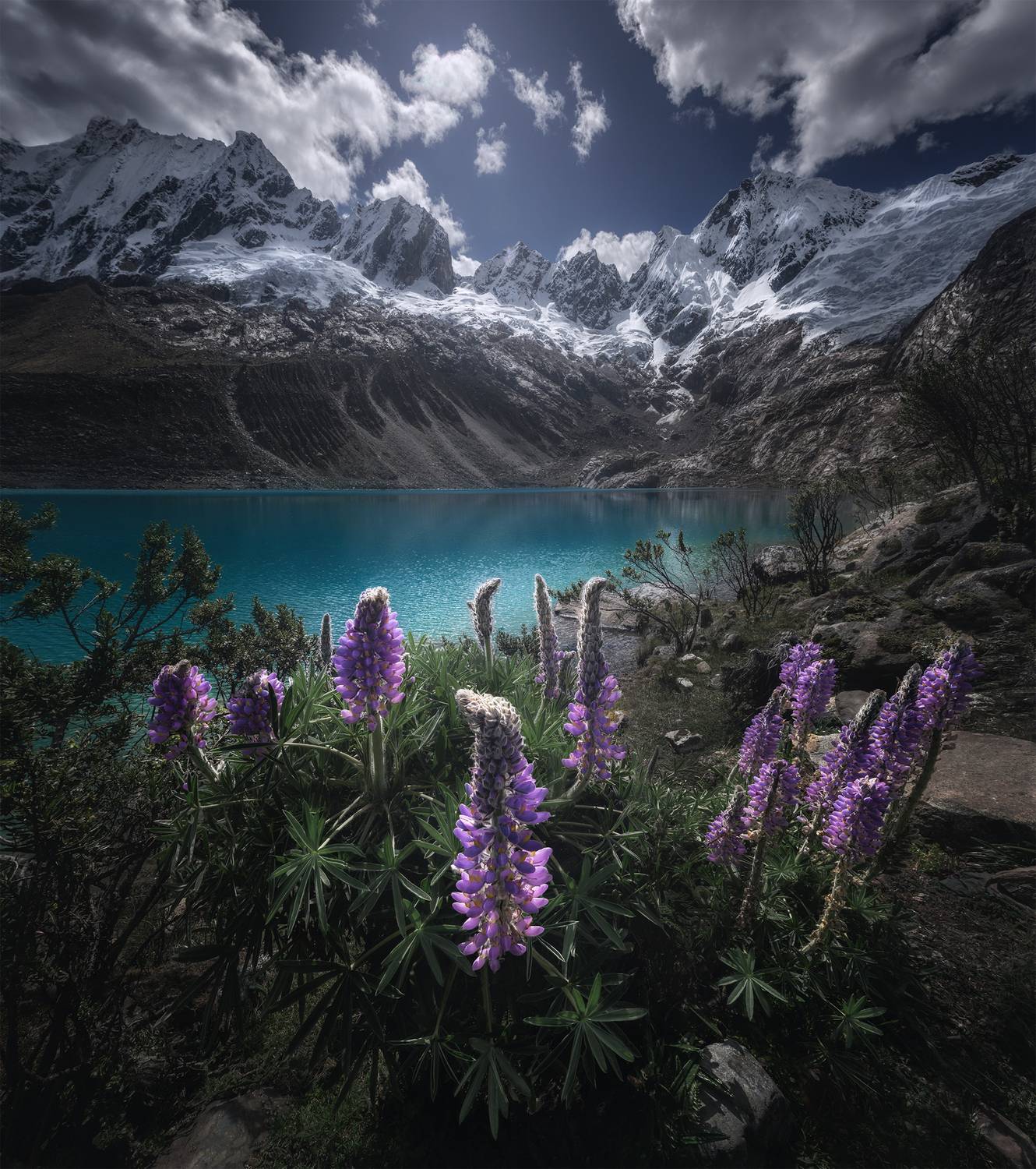 , Политова Анна