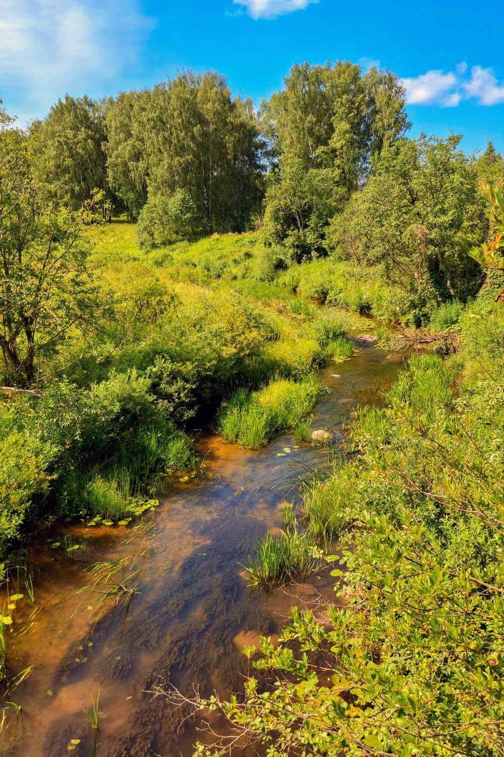 , Фотов Ренат