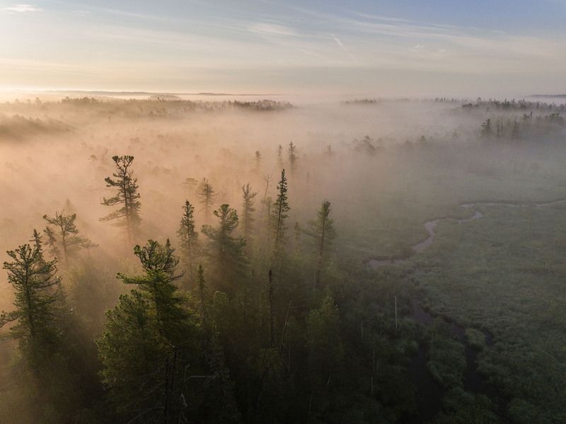 утро, туман, дрон, югра Туманное утро фото превью