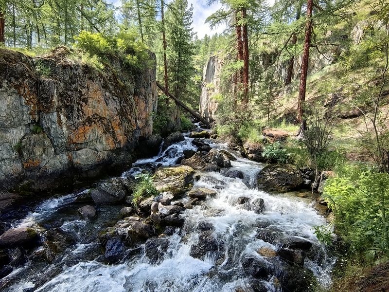 природа,алтай,река,скалы,деревья, Мощь дикой природы фото превью