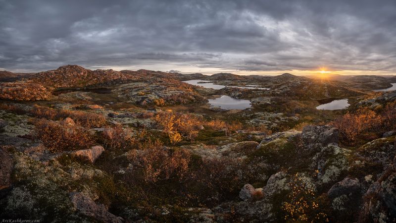 тундра, кольский, мурманская область, териберка, осень в тундре, арктика \