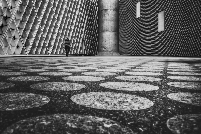 Between Circles and Silence фото превью