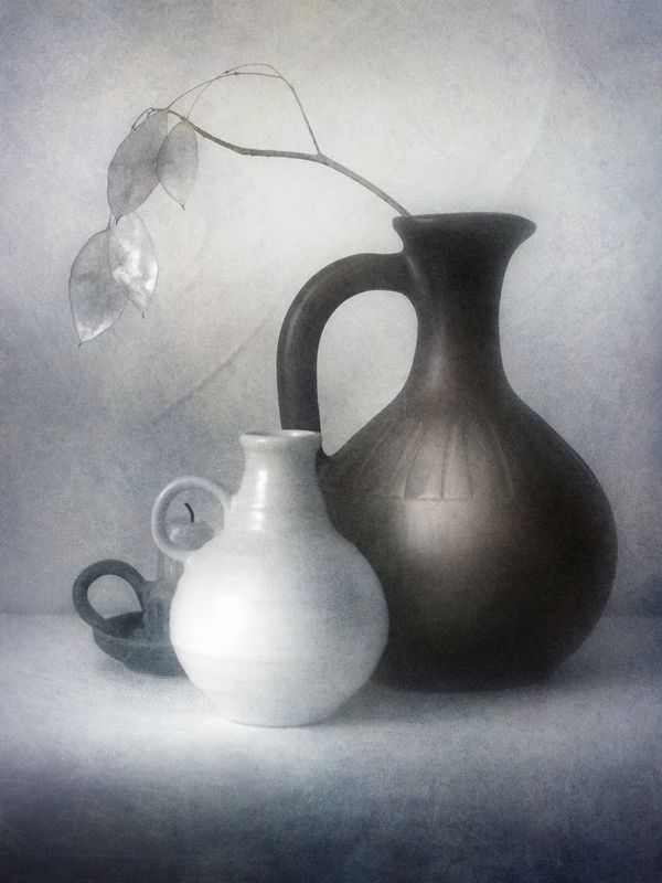 натюрморт, лунария, кувшин, пикториализм С лунарией. фото превью