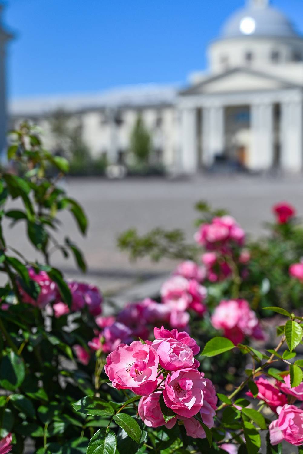 , Калёв Сергей