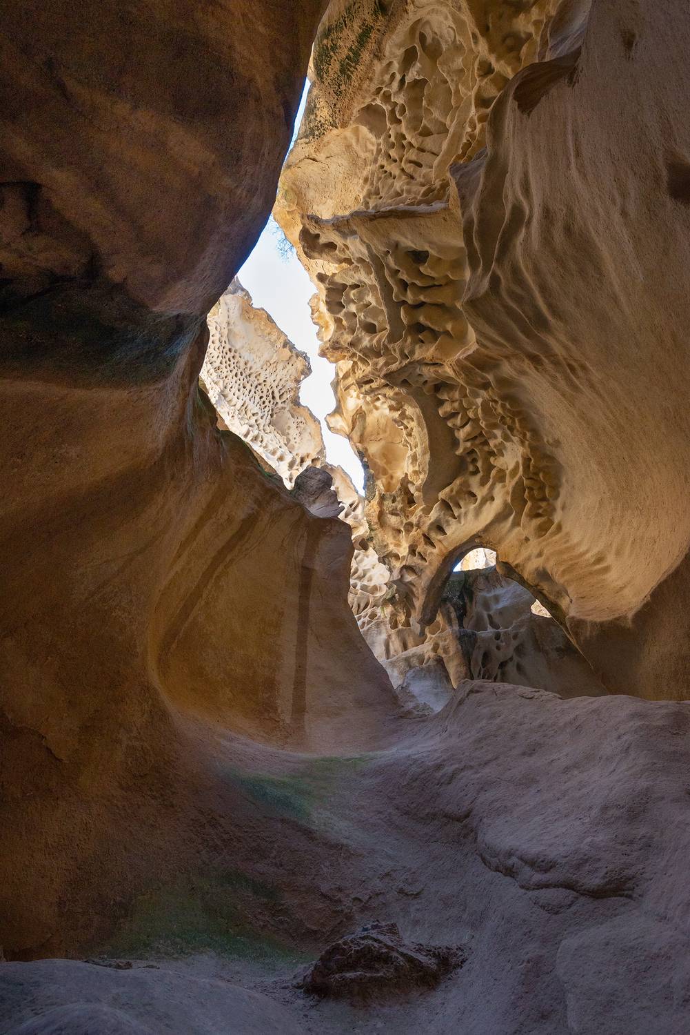 ажурный каньон, Светлана Шишкова